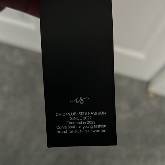 Stand out in the crowd NBW Crimson sequined party dress made by Curve Soul - Picture 4 of 5